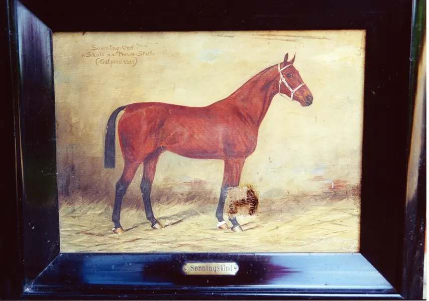 Westfälisches Pferdemuseum Münster (Westphalian Horse Museum)