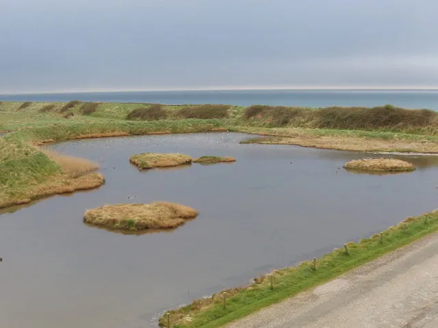 Wexford Wildfowl Reserve