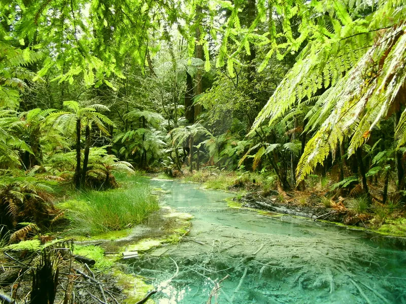 Whakarewarewa Forest