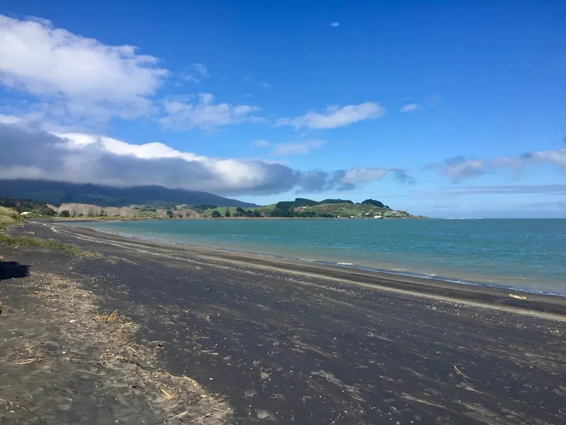 Whale Bay