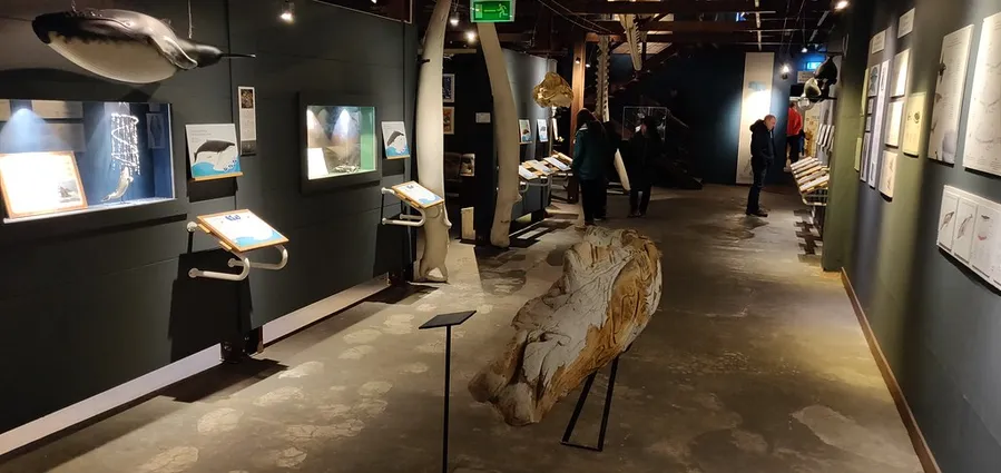 Whale Museum