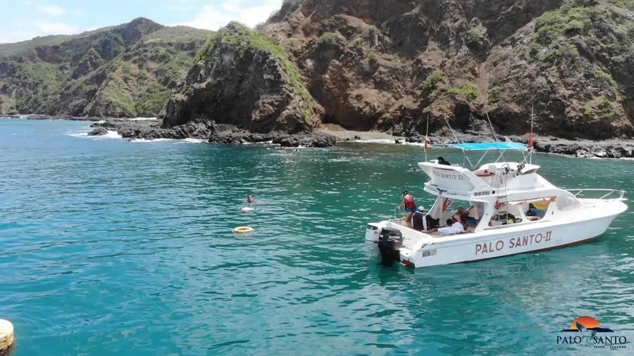 Whale Watching Tours (Seasonal)