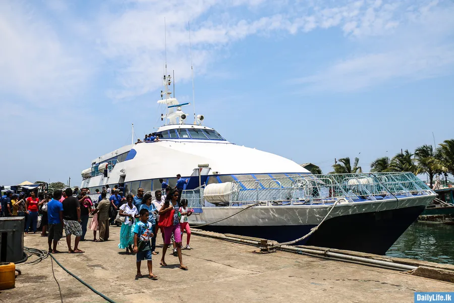 Whale Watching at Mirissa