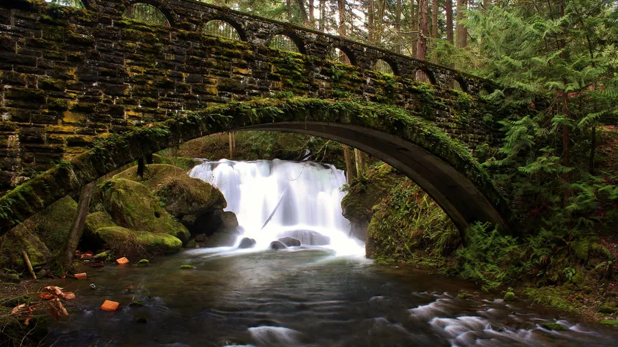 Whatcom Falls Park