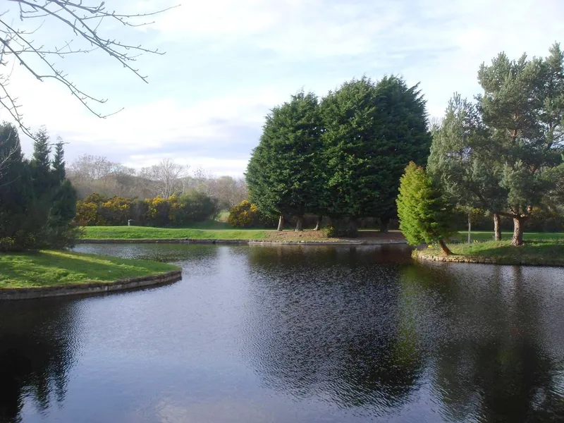 Whin Park