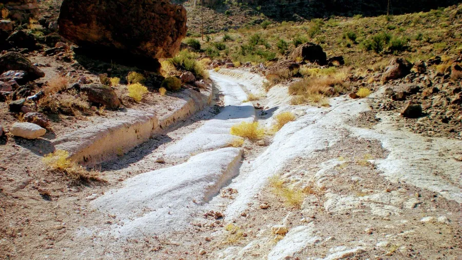 White Cliffs Wagon Trails