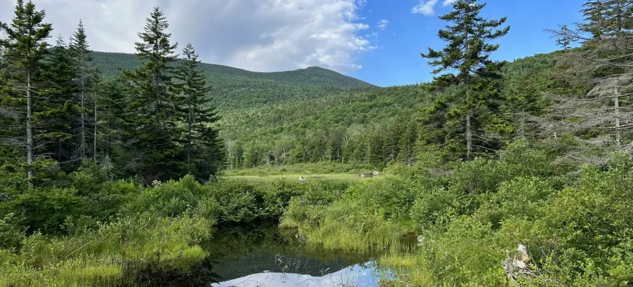 White Mountain National Forest