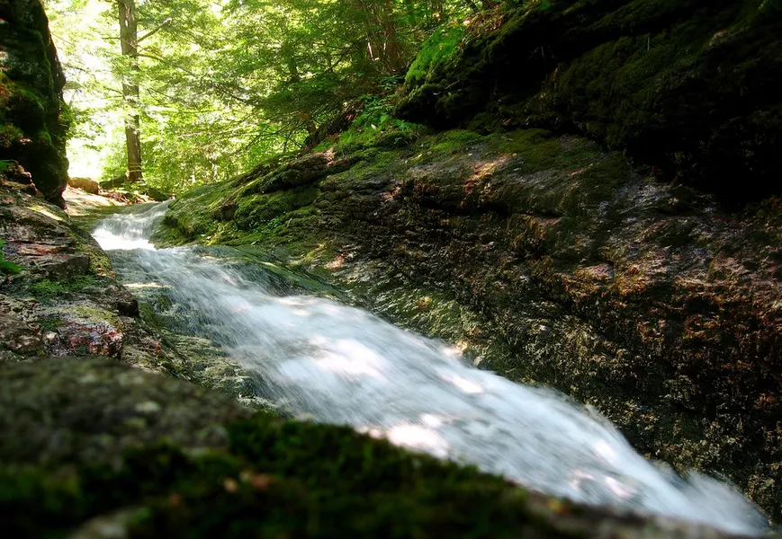 White Mountains National Forest
