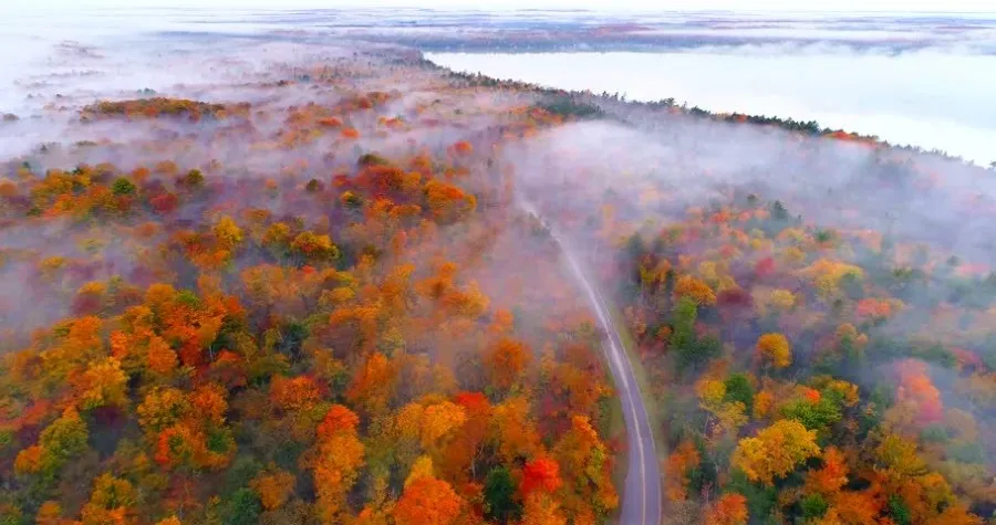 Whitefish Dunes State Park
