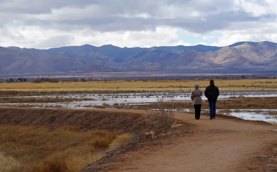 Whitewater Draw Wildlife Area