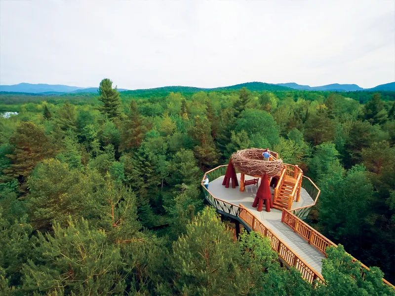 Wild Center