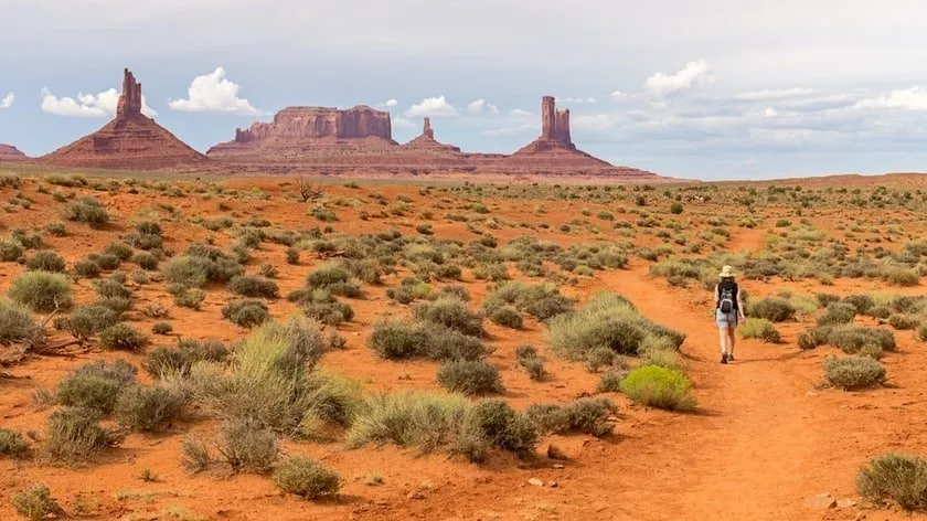 Wildcat Trail