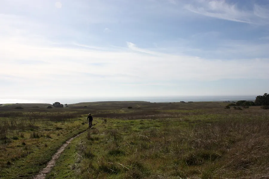 Wilder Ranch State Park