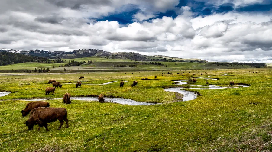 Wildlife Prairie Park