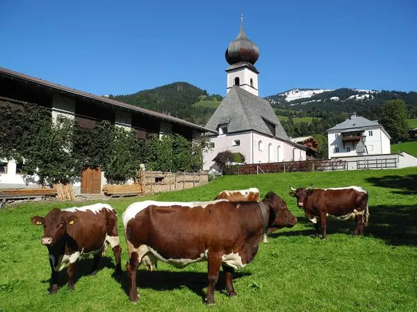 Wildpark Aurach
