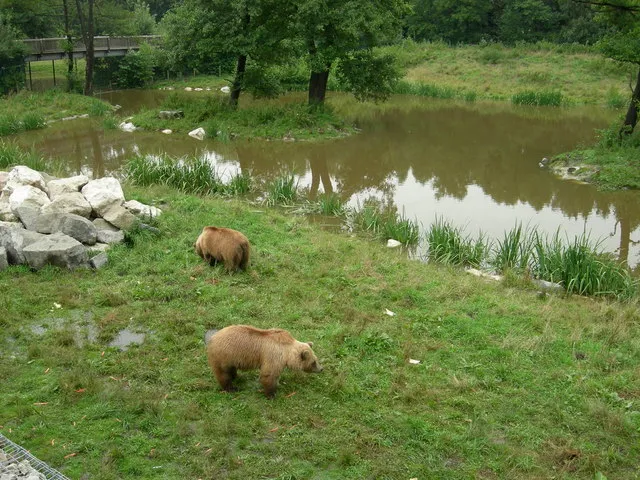 Wildpark Christianental