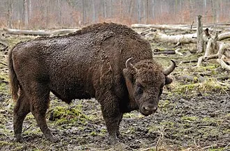 Wildpark Klaushof