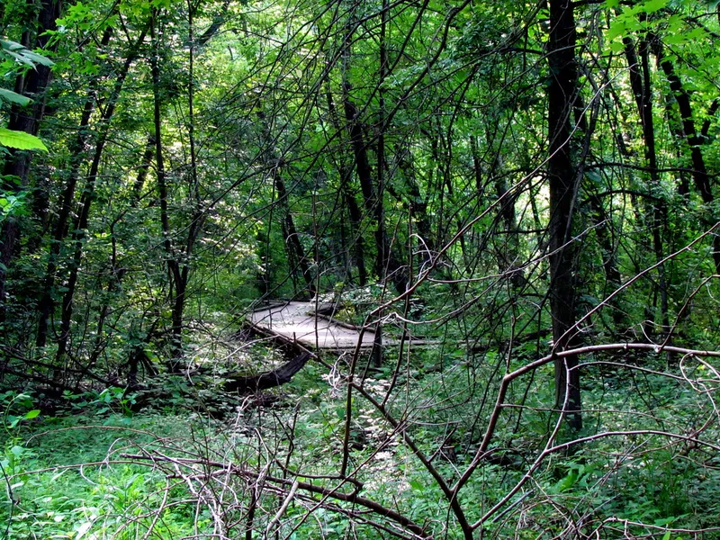 Wildwood Park