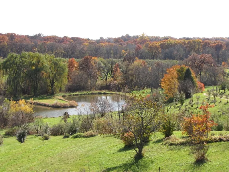 Wilson's Orchard