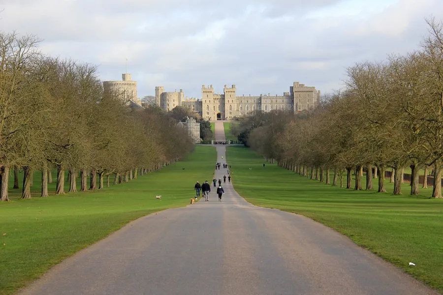 Windsor Great Park