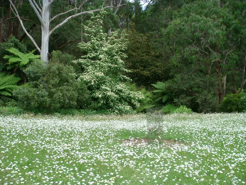 Windyridge Garden