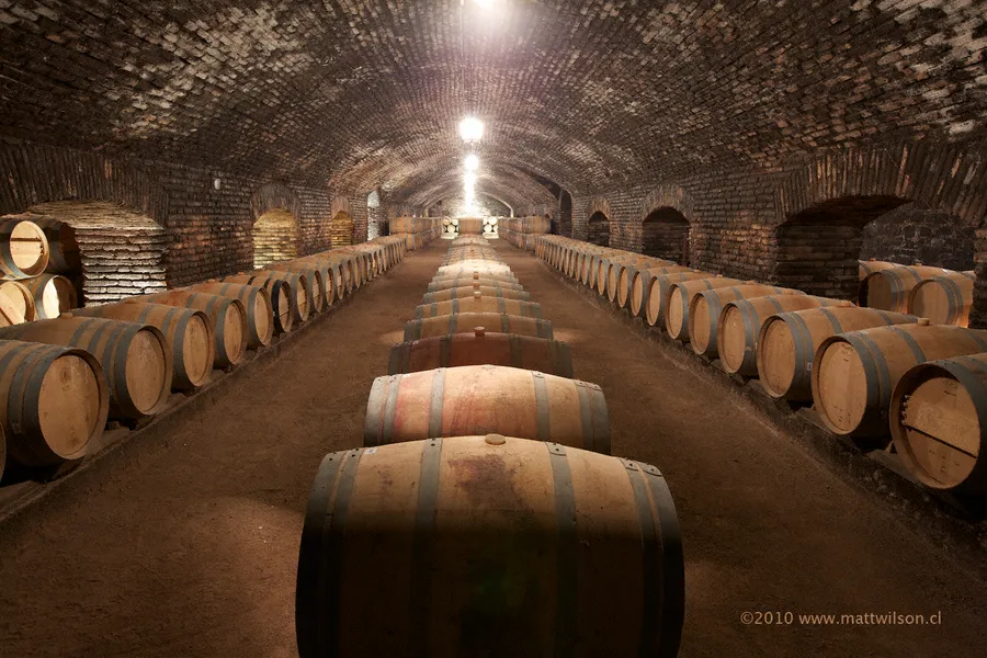 Wine Cellars of Mělník