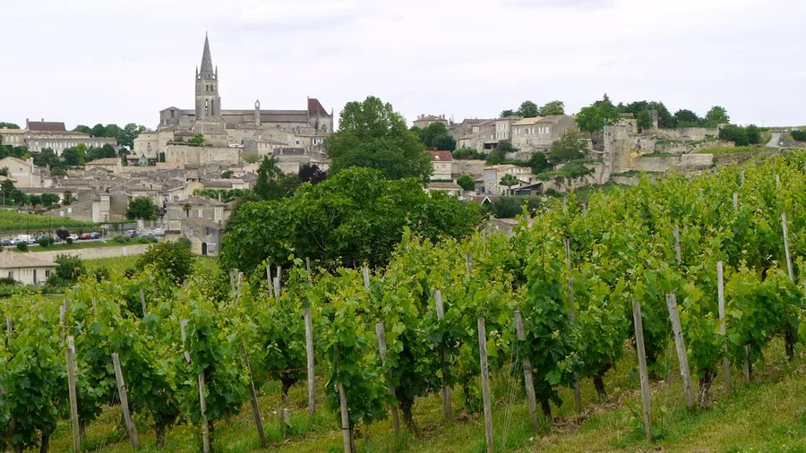Wine Estates of Saint-Émilion