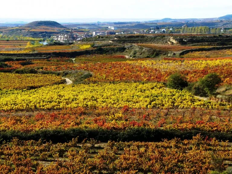 Wine Route of Rioja Alta
