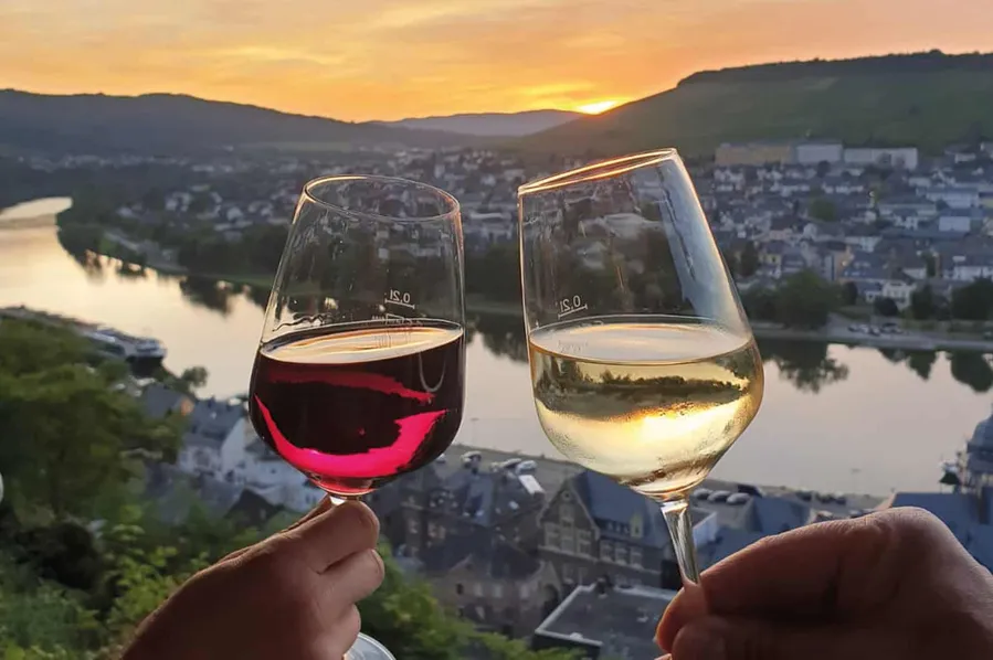Wine Tasting Tour