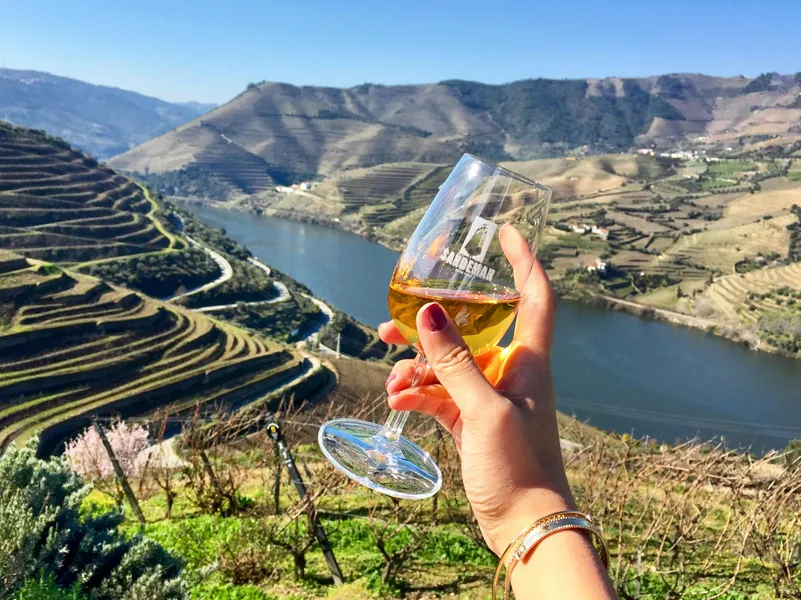 Wine Tasting Tour