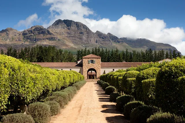 Wine Tasting Tour at Stellenbosch