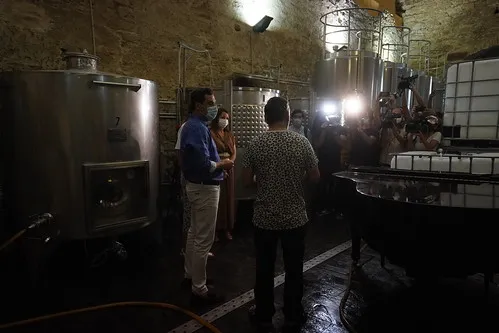 Wine Tasting at Bodegas