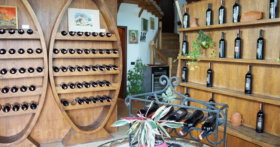 Wine Tasting in Berat