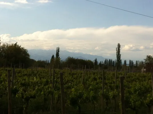 Wine Tasting in Maipú