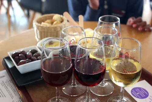 Wine Tasting in Pyrgos