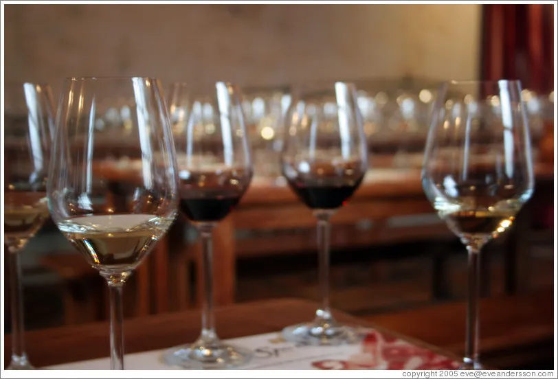 Wine Tasting in Stellenbosch