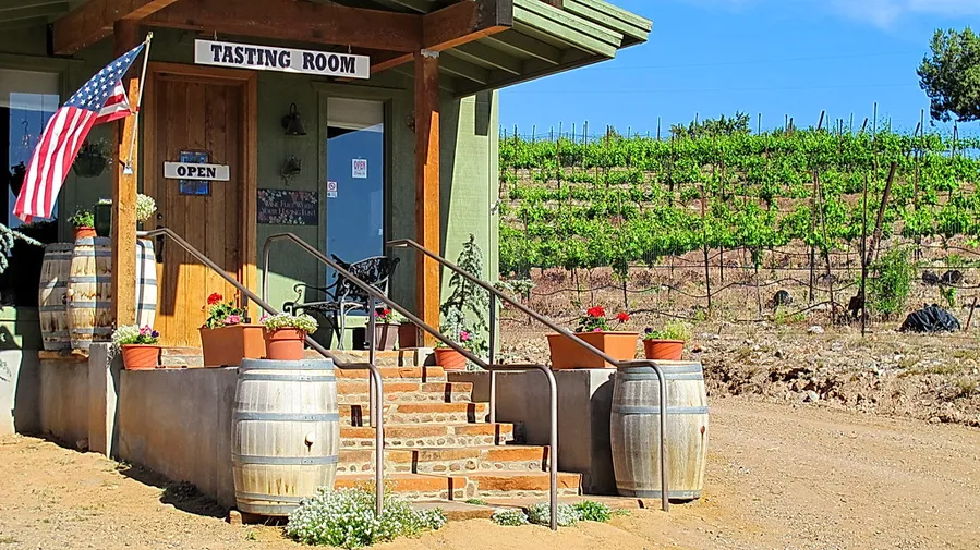 Wine Tasting in Virpazar