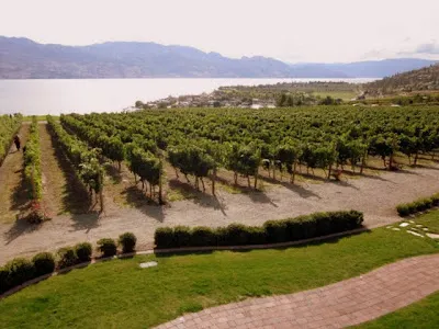 Winegarden Park