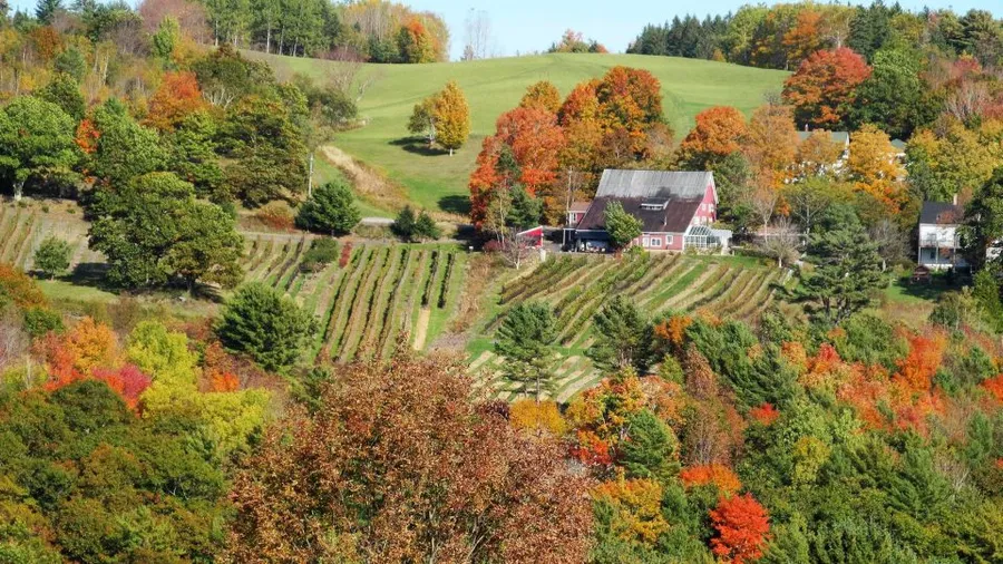 Wineries in the Annapolis Valley