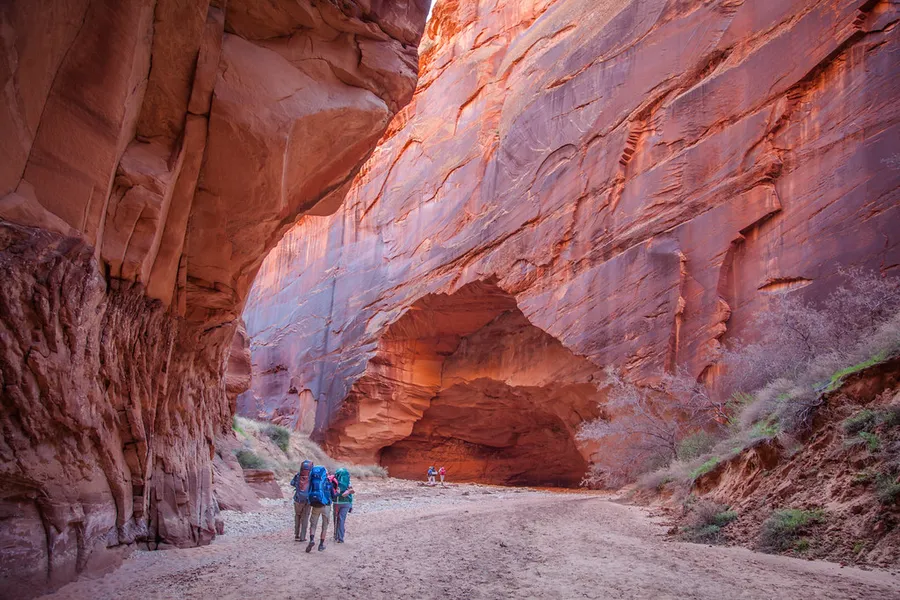 Wire Pass Trailhead