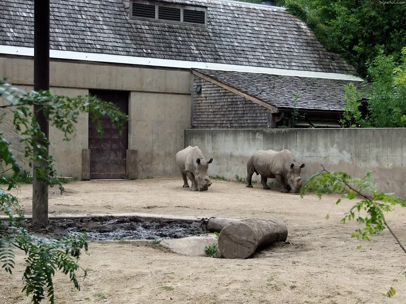 Wisconsin Rapids Zoo