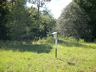 Withlacoochee State Trail