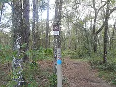 Withlacoochee State Trail