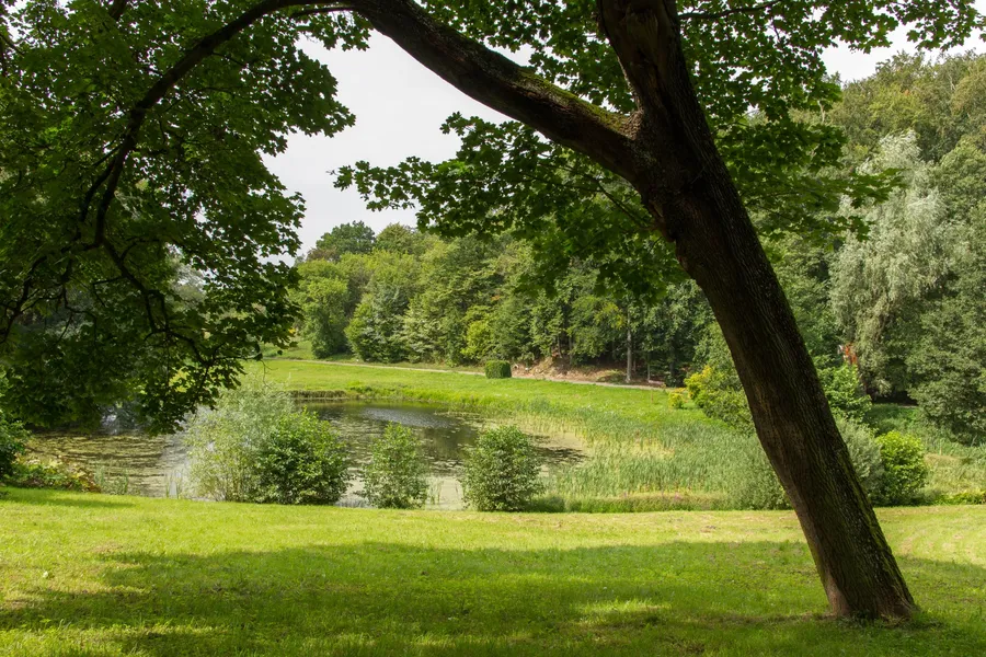 Wollongong Botanic Garden