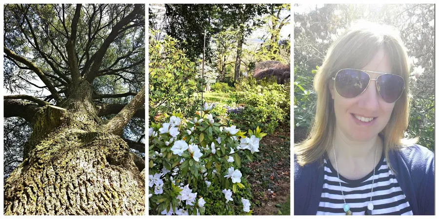 Wombat Hill Botanical Gardens