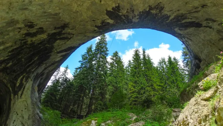 Wonderful Bridges