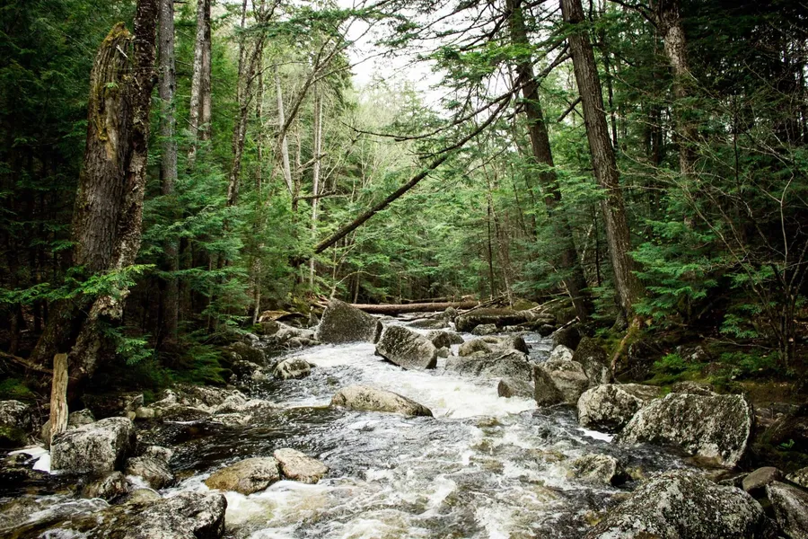 Wood Creek Trail