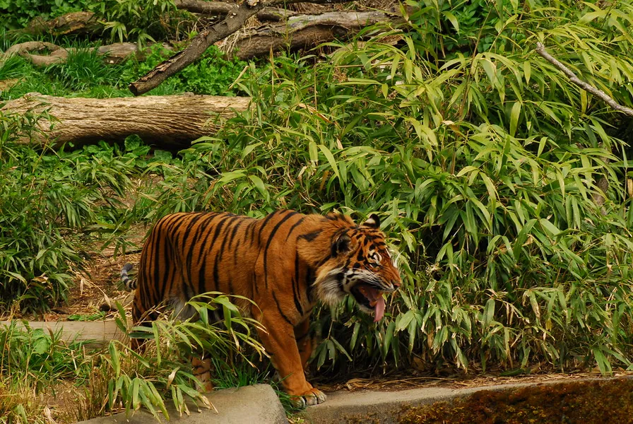 Woodland Park Zoo