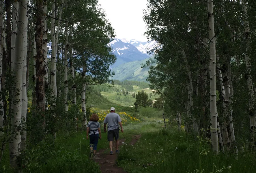 Woods Walk Trail