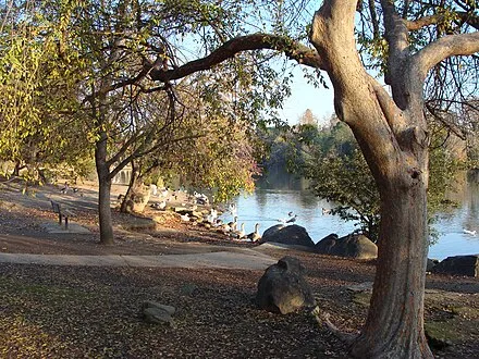 Woodward Park